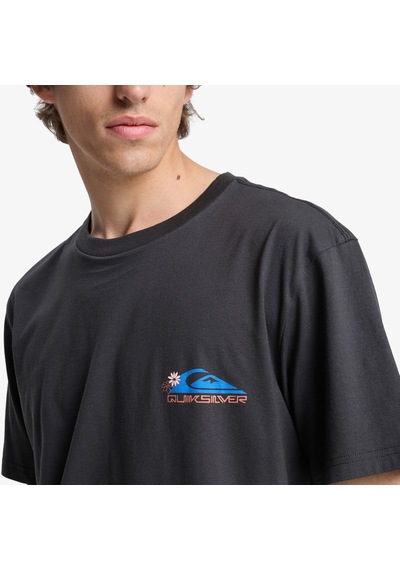 Quiksilver Fruits Tide Erkek Gri T-shirt Eqyzt08285