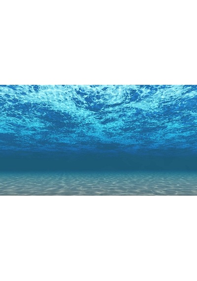 Kanki Pet KP554008 Akvaryum Arka Fon Yapıştırma 55 CM