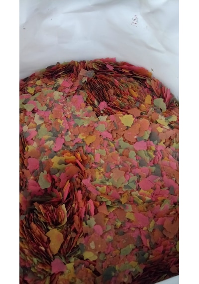 Tetramin Flakes – Kovadan Bölme 250 G