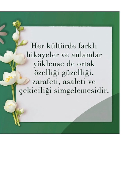Eyüp Sabri Tuncer Jasmine El ve Vücut Peeling 400 ML + Sprey Kolonya 150 ML + Yasemin Kolonyası 400 ML + Zeytinyağlı El ve Vücut Kremi 50 ML