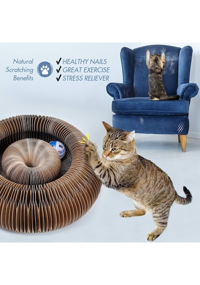 Ayrex Katlanabilir Kedi Tırmalama Oyuncağı 2'li Set Catnipli Akordeon Yapı, Toplu & Zeka Geliştirici Kedi Oyunc