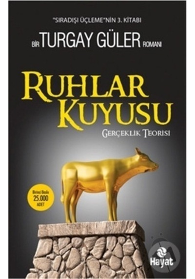 Ruhlar Kuyusu - Gerçeklik Teorisi - Turgay Güler - Hayat Yayıncılık