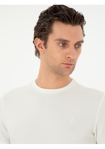 Beyaz Slim Fit Çizgi Dokulu Bisiklet Yaka T-shirt 15841036