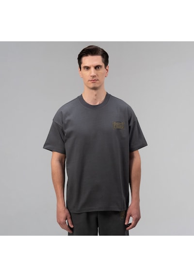 Everlast Authentic Boxing 2.0 Oversize Gri Erkek T-shirt Tm0156 Gri
