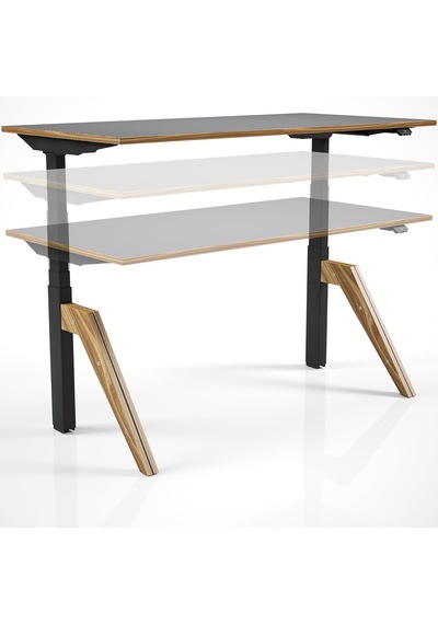 Tr Regula Desk Dandy - Elektrikli Yükseklik Ayarlı Çalışma Masası, Sıradışı Tasarım, Çift Motorlu, Bluetooth Genel Tr Regula Desk Dandy - Elektrikli Yükseklik Ayarlı Çalışma Masası, Sıradışı Tasarım, Çift Motorlu, Bluetooth Genel
