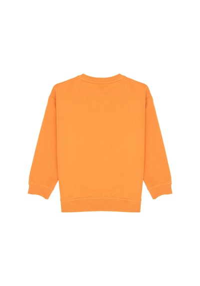 U.S. Polo Assn. Erkek Çocuk Bakır Bisiklet Yaka İnce Sweatshirt 50316527-VR182