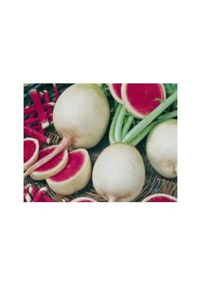 Çin Turp Tohumu - Aksel - 10 Gr