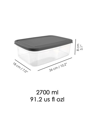 Meleni Home 2 Adet Dikdörtgen Erzak Saklama Kabı Mikrodalgaya Uygun Düzenleyici Organizer 2700 ML Gri
