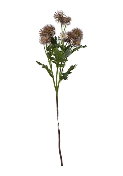 Pasabahce Karahindiba 56 Cm Mor - 1 Adet