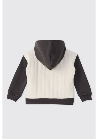 Panço Erkek Bebek Dinozor Baskılı Antrasit Sweatshirt Gri