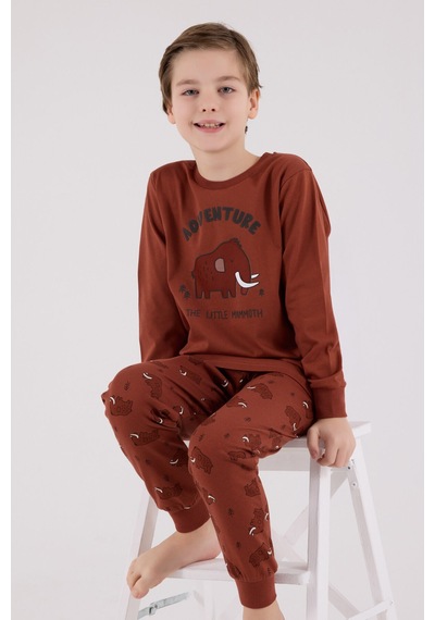 Rolypoly Erkek Çocuk Kahverengi Pijama Takımı Rp3667-c-v1