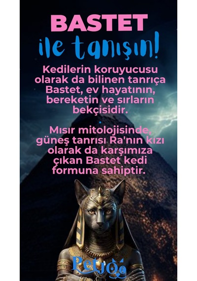 Petjoo 1.Bastet Mavi-Pembe Qr'lı Kedi Künyesi
