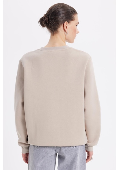 Tudors Kadın Oversize Geniş Kesim Pamuklu 3 İplik İçi Polarlı Basic Taş Bisiklet Yaka Sweatshirt-42070 Taş