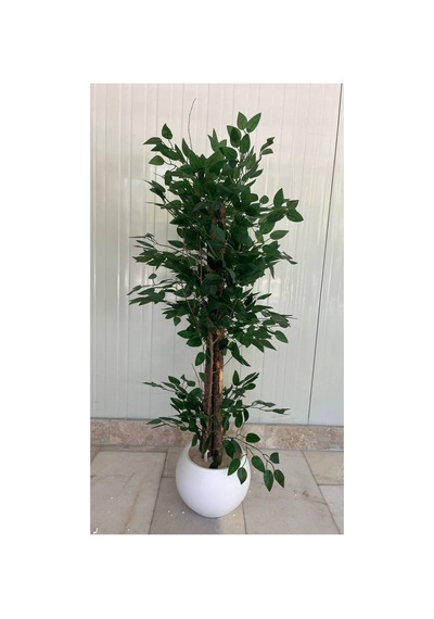 120 Cm Yapay Benjamin Beyaz Küre Dekoratif Ağaç