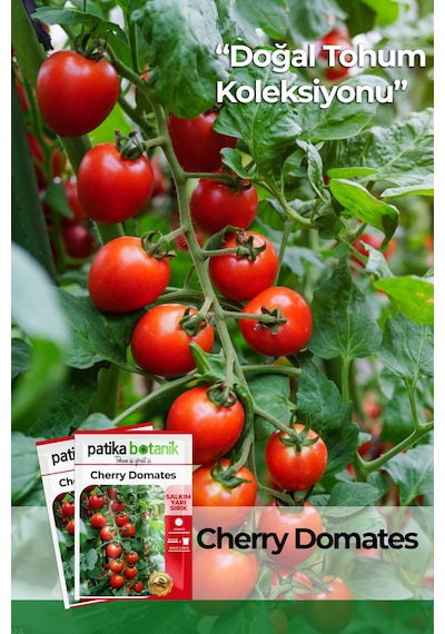 100 Adet Yerli Cherry Domates Tohumu