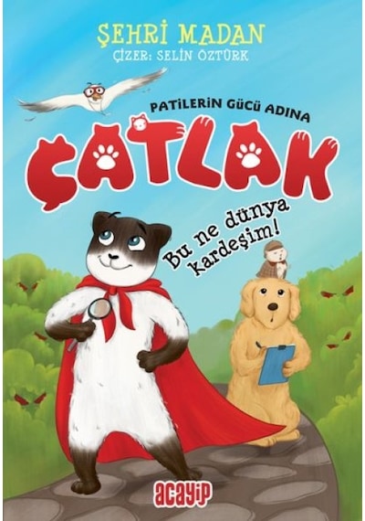 Bu Ne Dünya Kardeşim - Çatlak - Patilerin Gücü Adına - Aıaı-819464