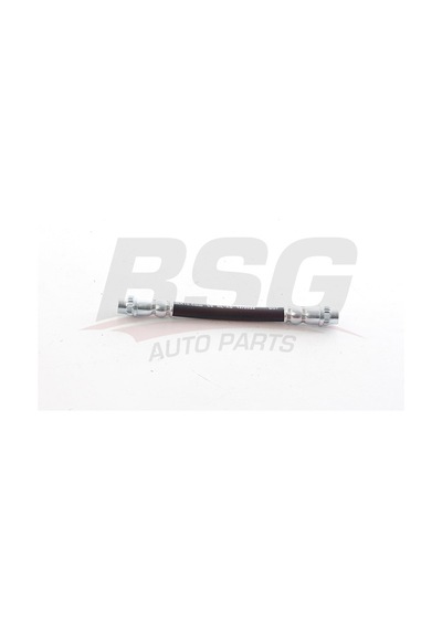 Bsg Fren Hortumu Arka - Megane Iv / Scenıc Iv / Talısman 16-
