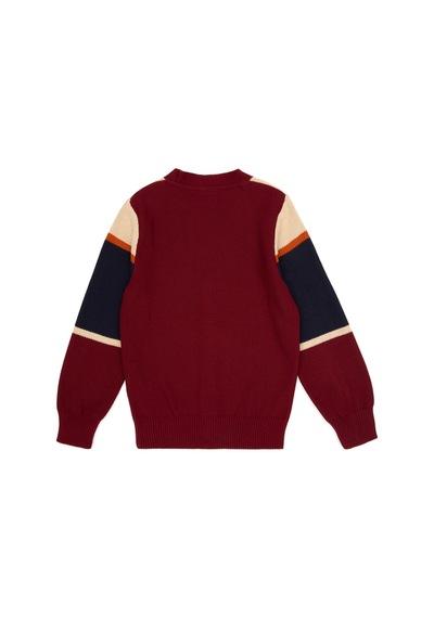 U.S. Polo Assn. Erkek Çocuk Bordo Hırka Triko 50317116-vr014
