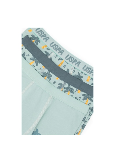 U.S. Polo Assn. Erkek Çocuk 3'lü Boxer Takım 50319388-VR048