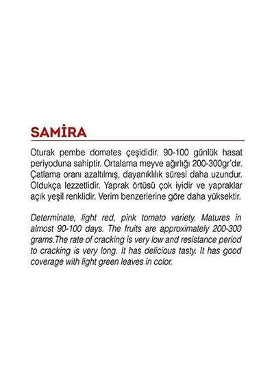 Ata Tohumu Yerli Pembe Köy Domatesi 100 Adet Tohum Genel