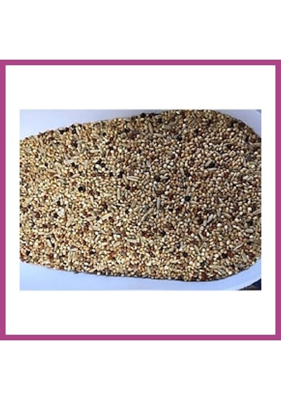 Gees Global Sude Life Muhabet Kuşu Yemi 800 Gr Gbzs