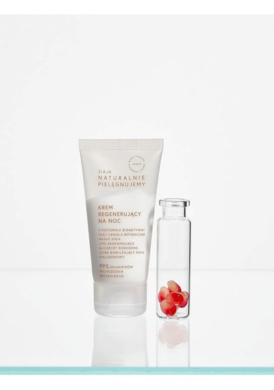 Ziaja Natural Care Besleyici Nemlendirici ve Canlandırıcı Gece Kremi 50 ML