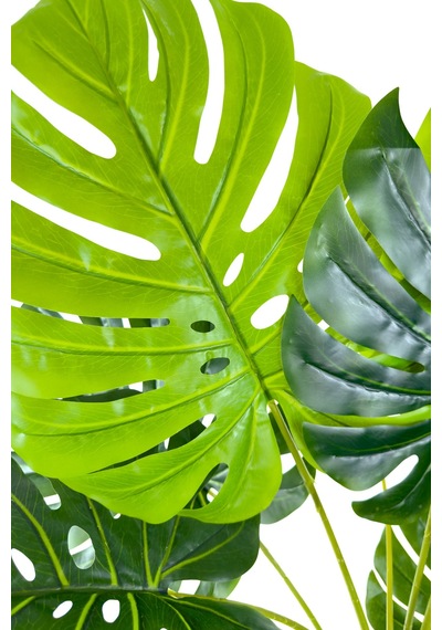 Biçiçek Yapay Monstera Ağacı Deve Tabani 180 Cm Bohem Saksıda