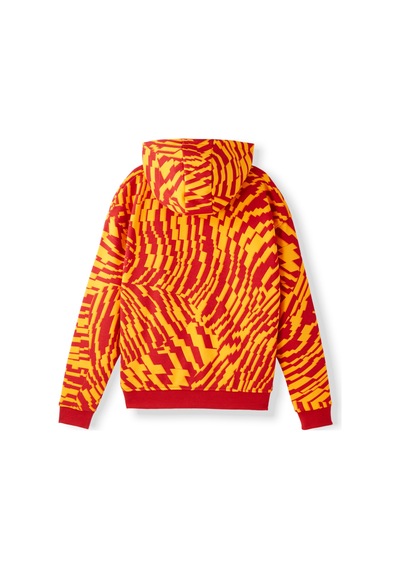 Gsstore Galatasaray Çocuk Hoodie C252110 Kırmızı