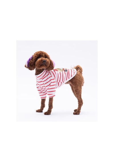 Kırmızı Bear With Me Baskılı Triko Sweat Kedi Köpek Sweat Kedi Köpek Kıyafeti