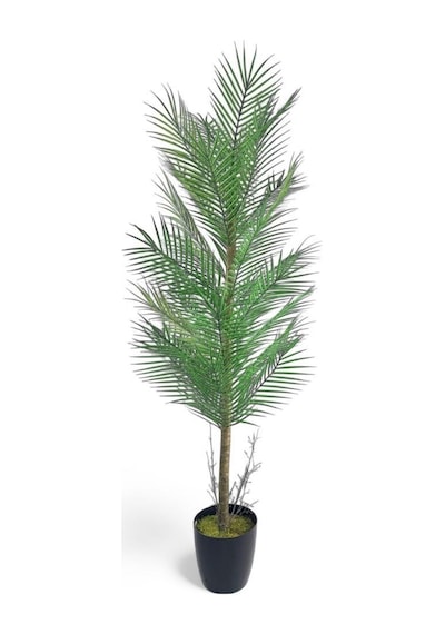 Yapay Ağaç Palmiye 155 50cm 30yaprak Areka Ağacı Siyah Saksıda Tek Gövdeli