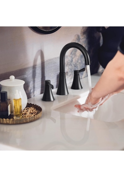 Moen Ronan Mat Siyah İki Kulplu Yaygın Modern Banyo Bataryası, Va Diğer