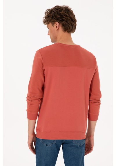 U.S. Polo Assn. Erkek Regular Fit Bisiklet Yaka Gül Kurusu İnce Sweatshirt 50315455-VR026