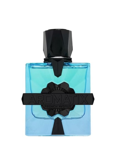 French Avenue Aromatix Magnetiq Extrait Edp 100 Ml Erkek Parfüm Aromatik