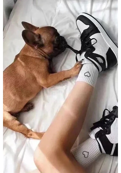 Hitit Socks Kadın 6 Çift Premium Kalite Kalp Detaylı Tenis Çorap Siyah Beyaz Gri ASORTİ