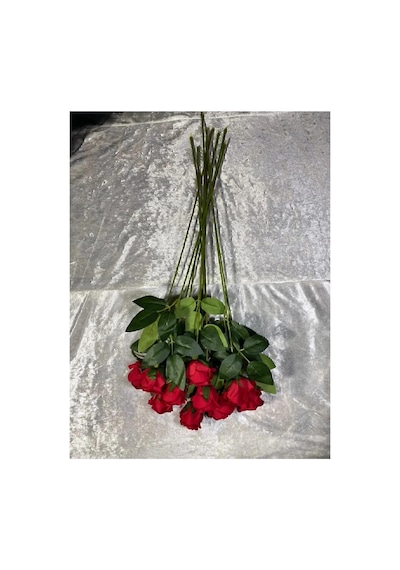 Kaliteli 10 Lu Kırmızı Yapay Kadife Gül Ev Vazo Dekor Süsü Özel Gün Çiçeği Yapay Çiçek 45-50 Cm Kırmızı - 929118804 Kırmızı Kaliteli 10 Lu Kırmızı Yapay Kadife Gül Ev Vazo Dekor Süsü Özel Gün Çiçeği Yapay Çiçek 45-50 Cm Kırmızı - 929118804 Kırmızı
