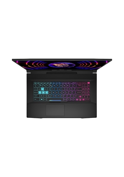 MSI Katana 17 B13VGK-1287XTR i7-13620H 16 GB 1 TB SSD 8 GB RTX4070 17.3" Dos Dizüstü Bilgisayar