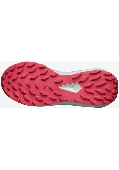 Salomon Alphaglide Kadın Koşu Ayakkabısı - L47801700-7204 Çok Renkli