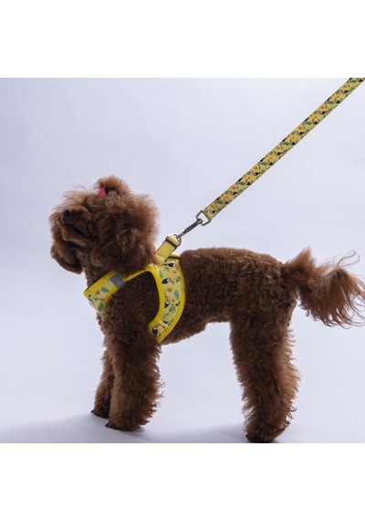 Tropical Breeze Göğüs Tasması Ve Sevk Kayışı Tasma Seti Papağan Desenli Kedi Köpek Göğüs Tasması Seti Sarı