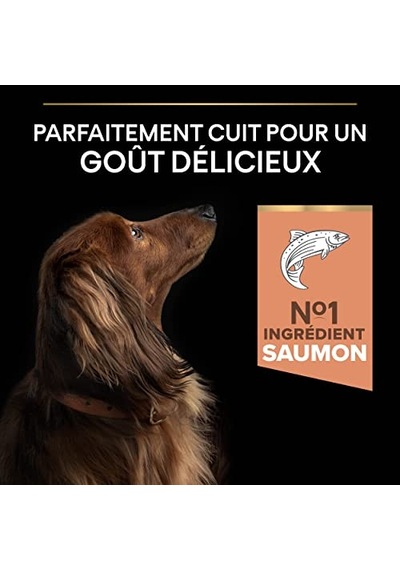 Pro Plan Small&mini Yetişkin Küçük Irk Köpek Sı Somonlu 7kg 100 G