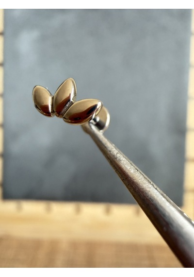 Yüksek Kalite G23 Titanyum Şans Buğdayı Labret Piercing Gümüş