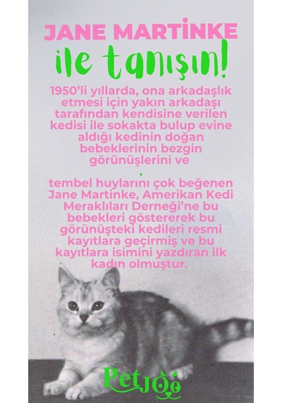 Petjoo 5.Jane Martinke Yeşil-Pembe Qr'lı Kedi Künyesi