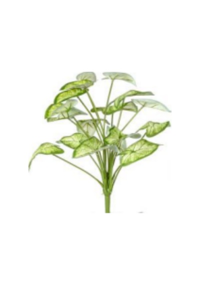 Yapay Bitki Caladium-kaladyum Demet Gerçek Dokulu 18 Yaprak 46 Cm. Çok Renkli
