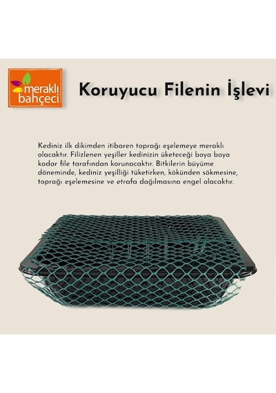 Meraklı Bahçeci Kedi Çimi - Kedi Sindirim Sistemini Rahatlatıcı Zindeliklı Kedi Otu