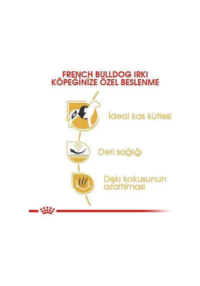 Royal Canin French Bulldog Yetişkin Köpek Maması 3 KG