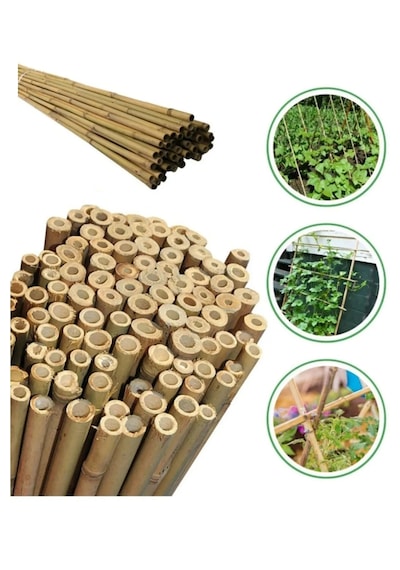 50 Adet Bambu Bitki Fidan Destek Çubuğu 1 Metre