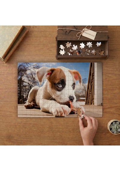 Sevimli Yavru Köpek Tasarımı 240 Parça Ahşap Puzzle Ahşap Kutuda Mpy20441