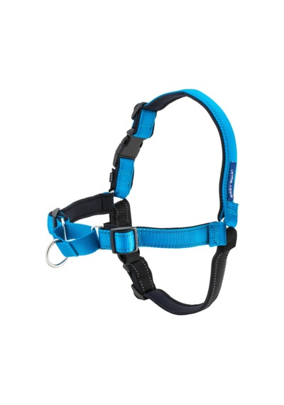 Deluxe Easy Yürüyüş Kemeri Mavi Köpek Göğüs Tasması Küçük 38-51 Cm