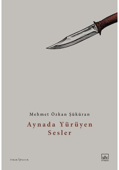 Aynada Yürüyen Sesler - Mehmet Özkan Şüküran - İthaki Yayınları