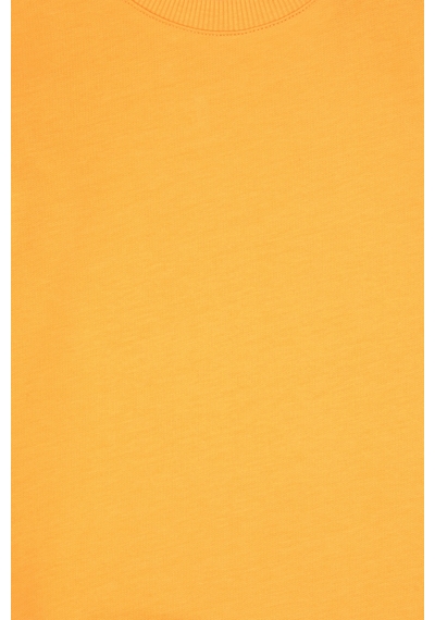 U.S. Polo Assn. Erkek Çocuk Mango Bisiklet Yaka Basic Sweatshirt 50313831-VR244 U.S. Polo Assn. Erkek Çocuk Mango Bisiklet Yaka Basic Sweatshirt 50313831-VR244