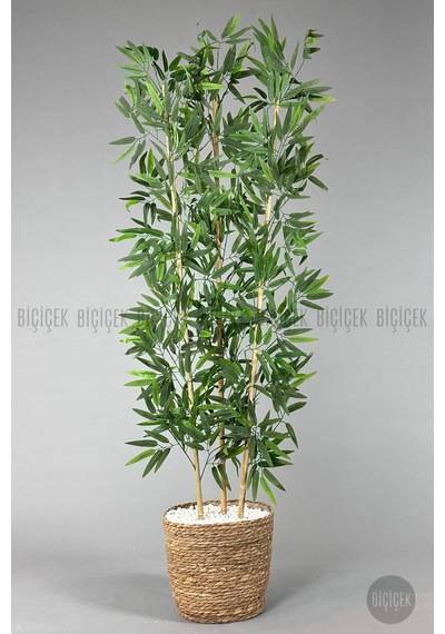 Yapay Bambu Ağacı 140cm Hasır Saksıda Krem